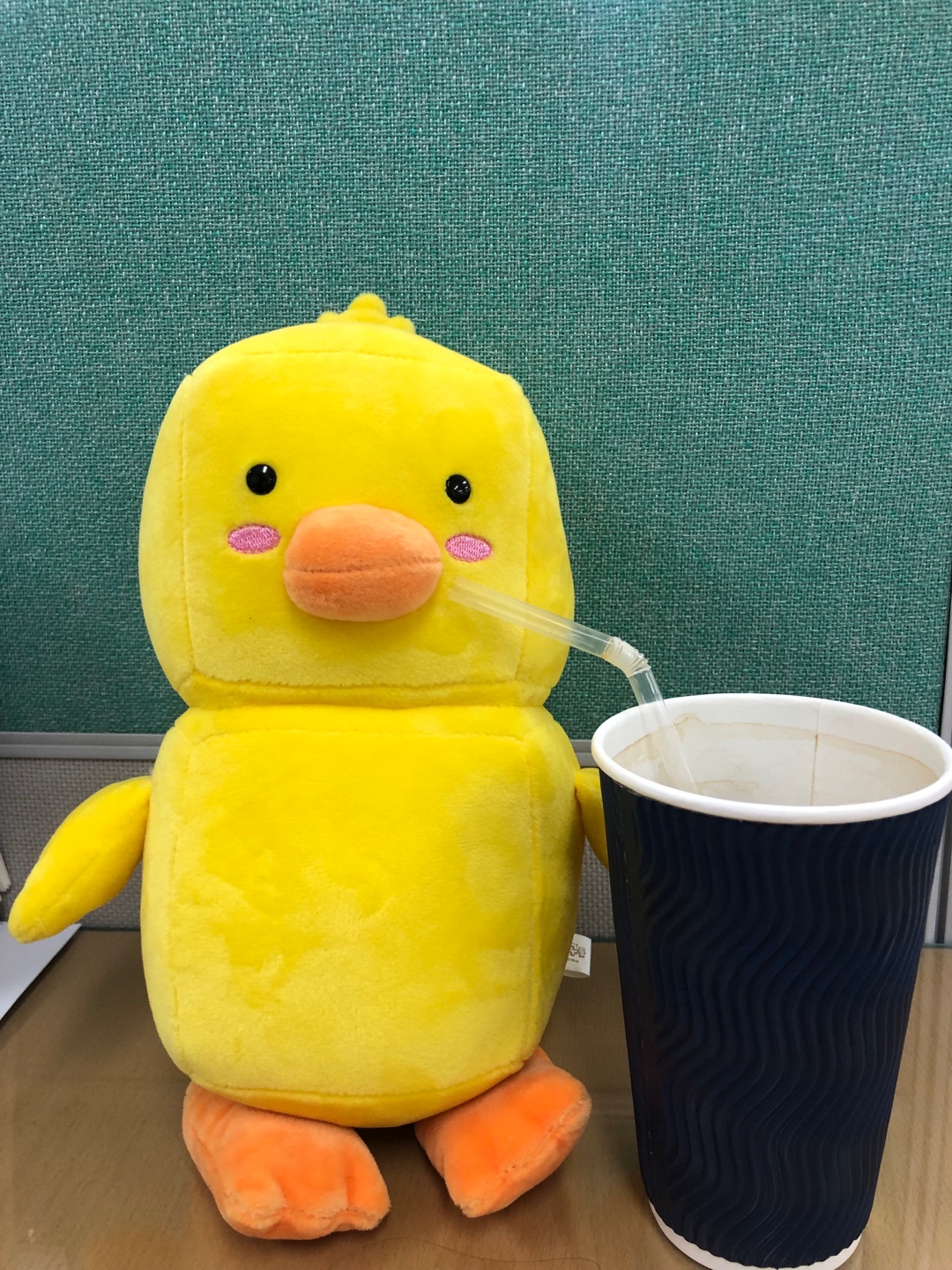 귀여운 오리인형 나눔후기:)